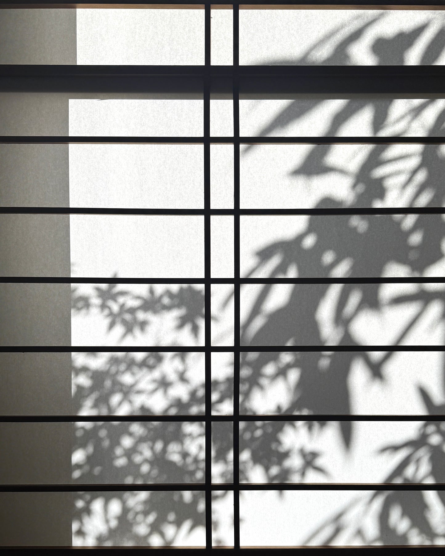 障子戸(Shoji screen)